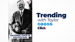 National Dogs in Politics Day