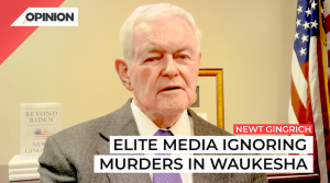 Newt Gingrich says left media ignoring a key fact in Waukesha parade crash.