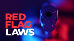 Congressional lawmakers continue to debate whether to enact a federal red flag law or leave the matter to the states to decide.