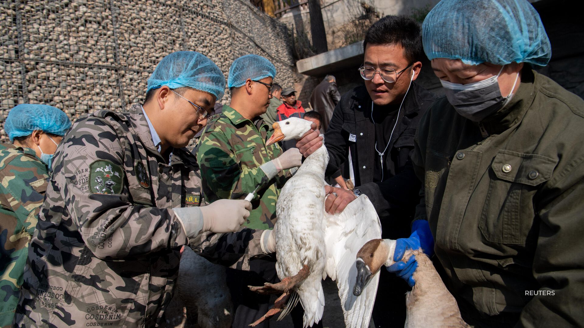 China's National Health Commission reported the first human case of the H3N8 strain of bird flu, a virus driving up egg prices in the U.S.