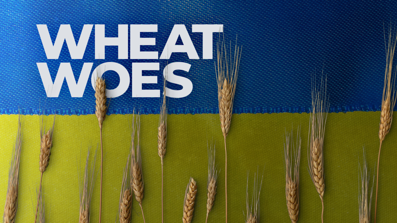 Wheat is a dietary staple around the globe, so Russia's war in Ukraine is stirring fears of a possible shortage in the months ahead.