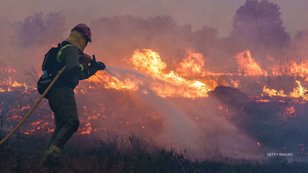 A series of weather events related to climate change have created the perfect environment for wildfires in Spain, Germany, and western Europe.