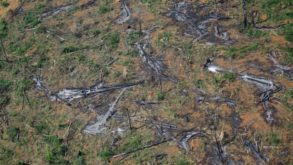 The Amazon rainforest set a record for deforestation in the first half of 2022.