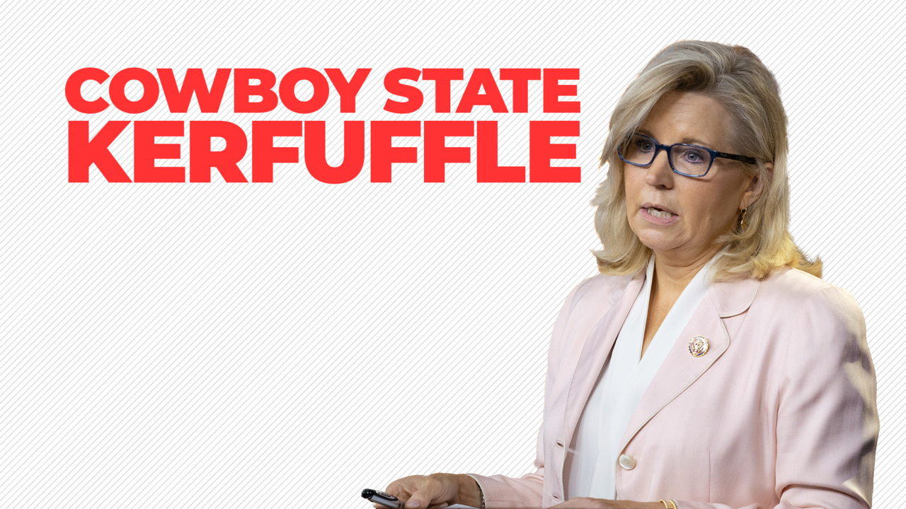 Wyoming Rep. Liz Cheney is currently down 30 points in her primary race, but she isn't apologizing for bucking party leadership and Donald Trump.