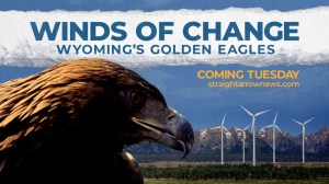 Conservation and renewable energy collide in the western U.S., and mitigation tactics might not be enough to save endangered golden eagles.
