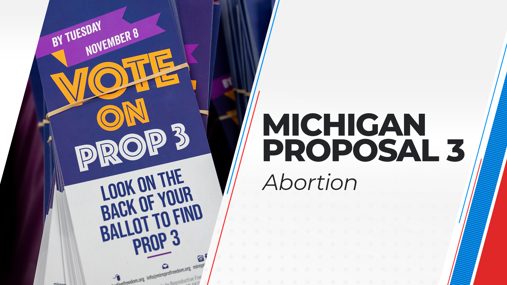 Michigan Proposition 3: Voters Add Abortion Rights To Their State ...