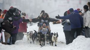 The 51st Iditarod kicks off this weekend in Alaska. The 1,000-mile race tests the limits for mushers and their dogs as they traverse frozen landscapes.