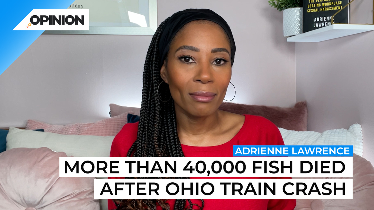 With thousands of small fish dead after the train wreck in Ohio, the question many are asking is: What will happen to the area's ecosystem?