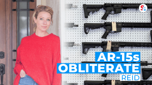 Does anyone really need to own an AR-15, the weapon of choice used in ten of the 17 deadliest mass killings in the United States since 2012?