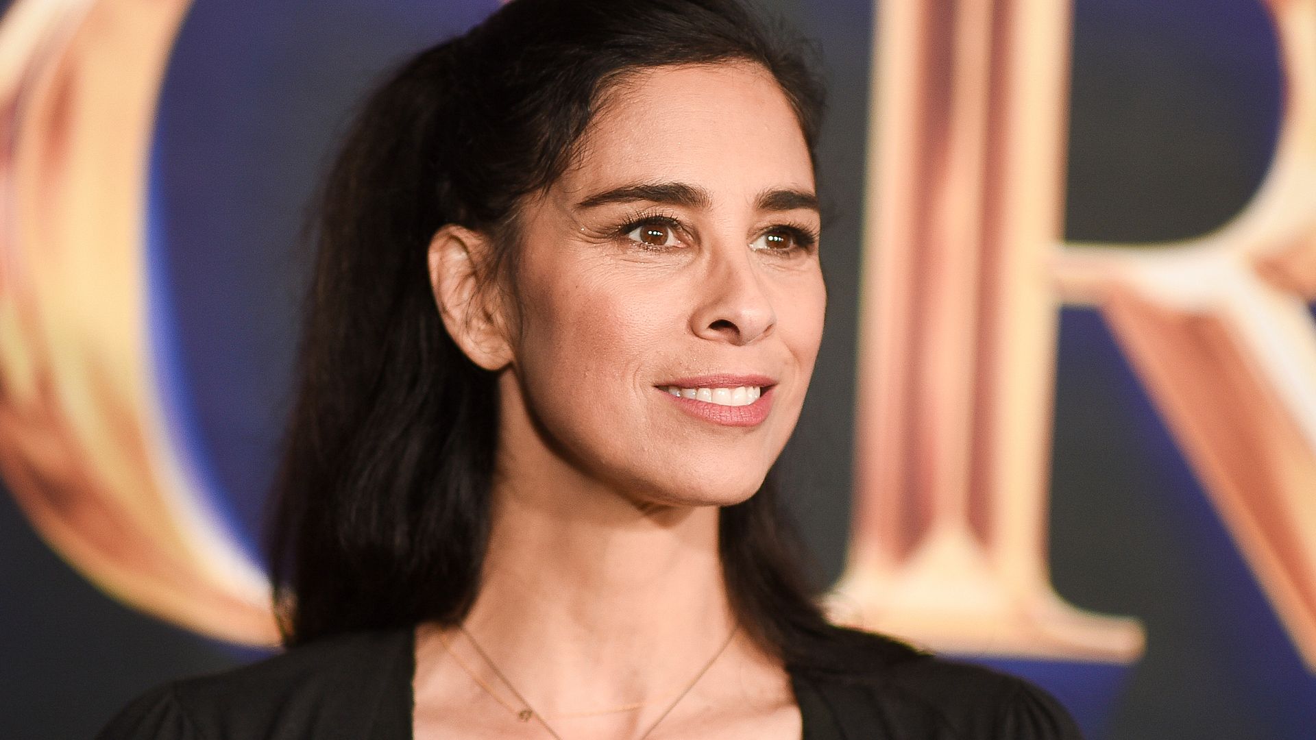 Comedian Sarah Silverman and two other authors filed lawsuits against OpenAI and Meta, accusing the companies of copyright infringement.