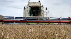 Russia has announced it has halted its deal to allow grain to flow from Ukraine to countries in Africa, the Middle East and Asia.
