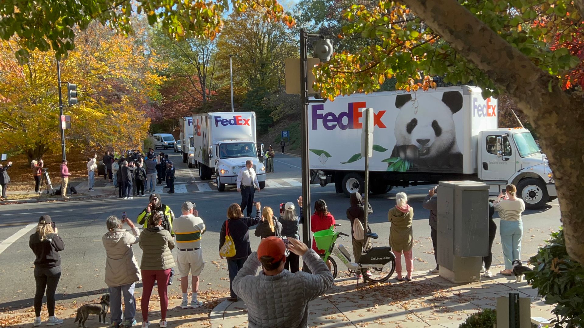 Pandas at the U.S. National Zoo, a symbol of goodwill between China and the U.S., are returning to China as diplomatic tensions grow.