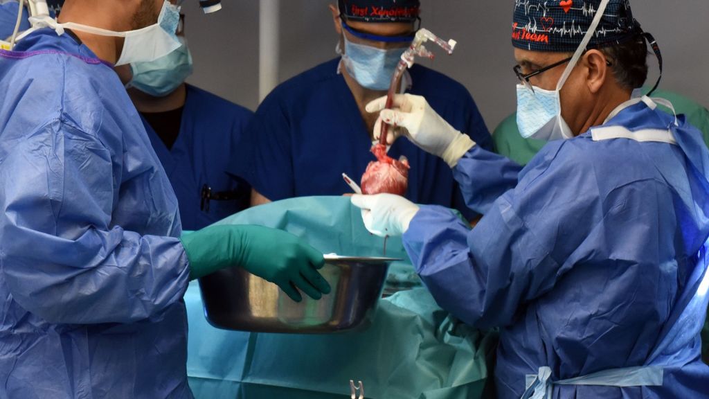 Doctors are still learning after the second person to receive a genetically modified pig heart died six-weeks after the experimental surgery.