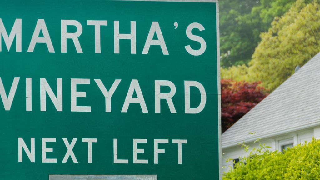 Federal authorities arrested an illegal immigrant child rapist from Brazil last week in Martha's Vineyard who now faces deportation.