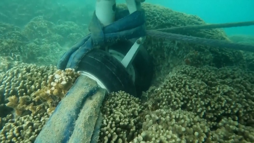 Concerns over environmental damage rise as a Navy plane crashes into a Hawaii bay, with the parts of the plane resting on coral.