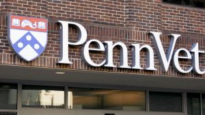 As a latest consequence of former President Liz Magill's antisemitism testimony, UPenn is facing the withdrawal of state funding.