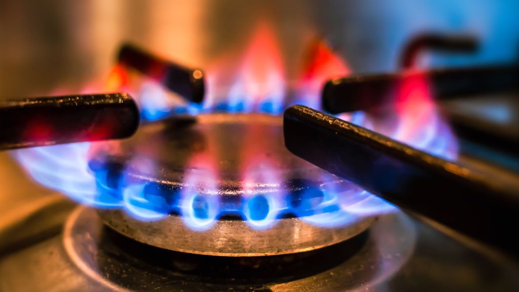 The Ninth Circuit Court of Appeals rejected Berkeley's petition to rehear a case regarding a natural gas ban, affirming the ban's illegality.