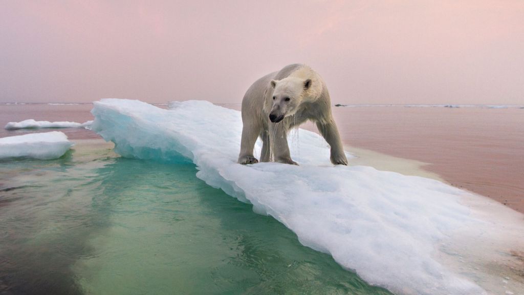 canadians-say-climate-caused-a-warm-december-they-both-enjoyed-and