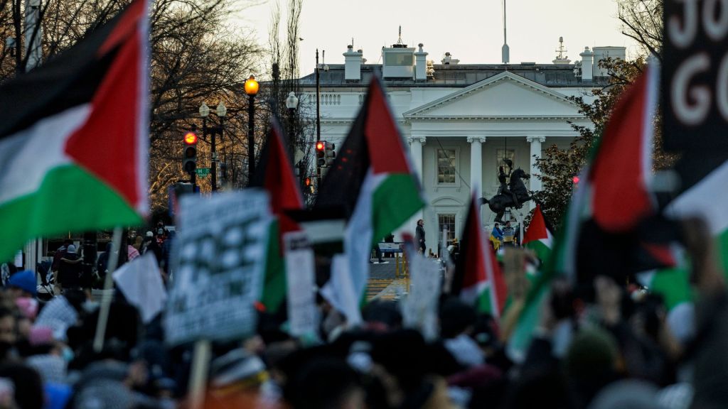 Thousands of protesters gathered in Washington demanding an immediate ceasefire and an end to US support for Israel in response to the military campaign in Gaza.