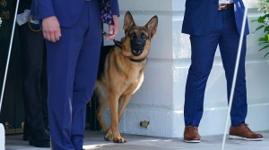 Secret Service records released recently have unveiled that President Joe Biden's German shepherd, Commander, was involved in at least 24 biting incidents over the past year, more than what was initially reported. The disclosure, which includes 269 pages of related emails, sheds light on the severity and frequency of these incidents.