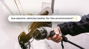SAN Energy Correspondent Jack Aylmer gives answers to some of the most searched questions about EVs on Google.
