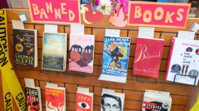 Recent reports provide insights into the debates surrounding book challenges and bans in American libraries and schools.