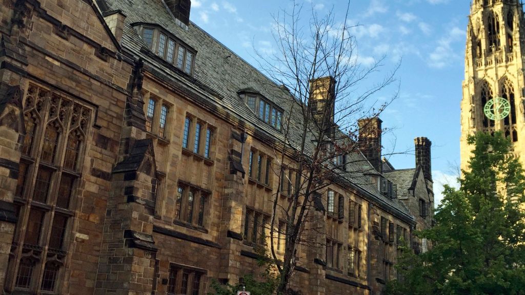 A Jewish student at the prestigious Yale University was stabbed in the eye with a Palestinian flag during an anti-Israel protest on campus