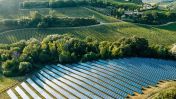 Italy's government wants to restrict solar panels on agricultural land, as energy companies say this will drive up electricity costs.