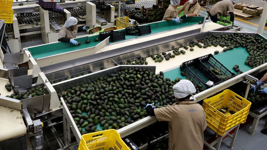 U.S. Ambassador Ken Salazar announced resuming avocado and mango inspections in Michoacan after a recent assault on inspectors.