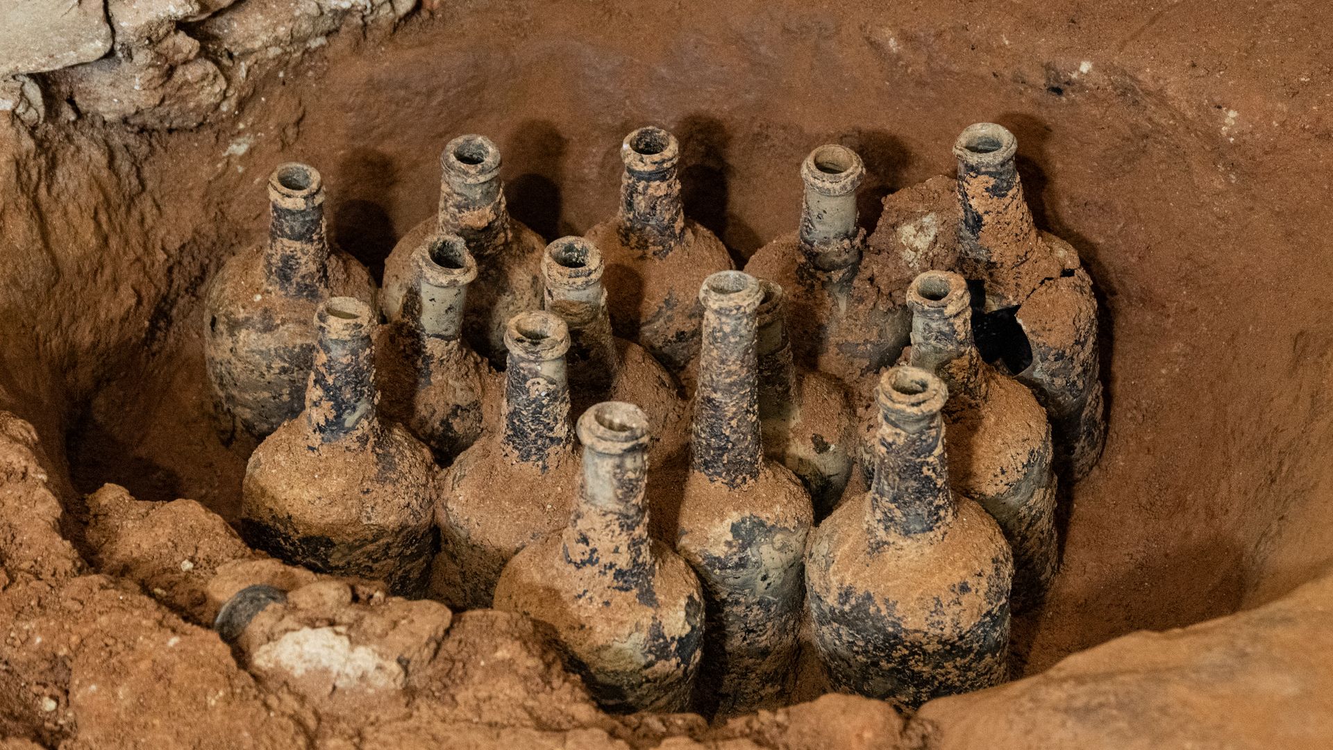 Perfectly preserved berries and cherries were uncovered by archeologists at George Washington's Mount Vernon home.