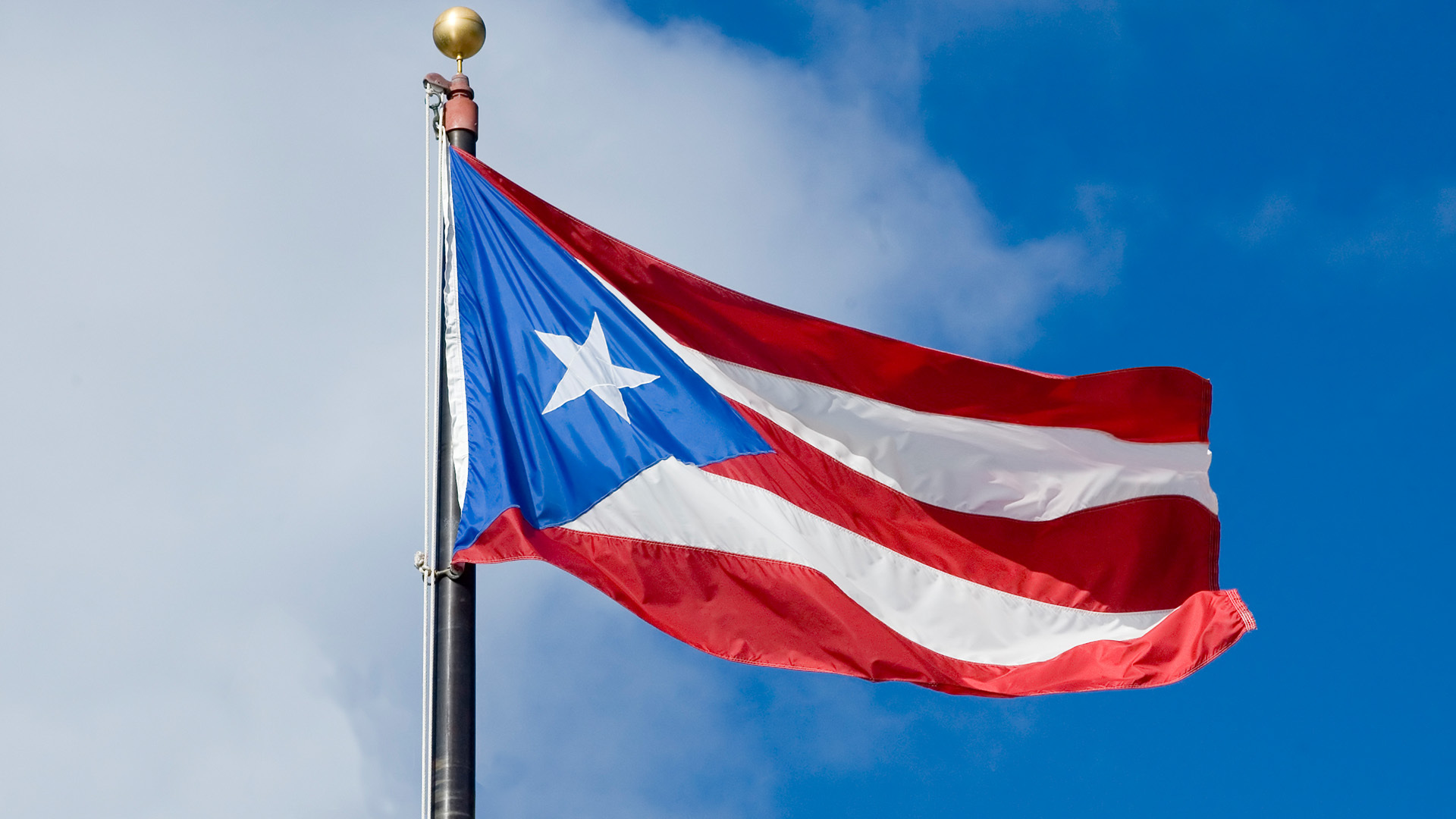 Puerto Rico Officials: Dominion Software Issue To Blame For Errors In ...