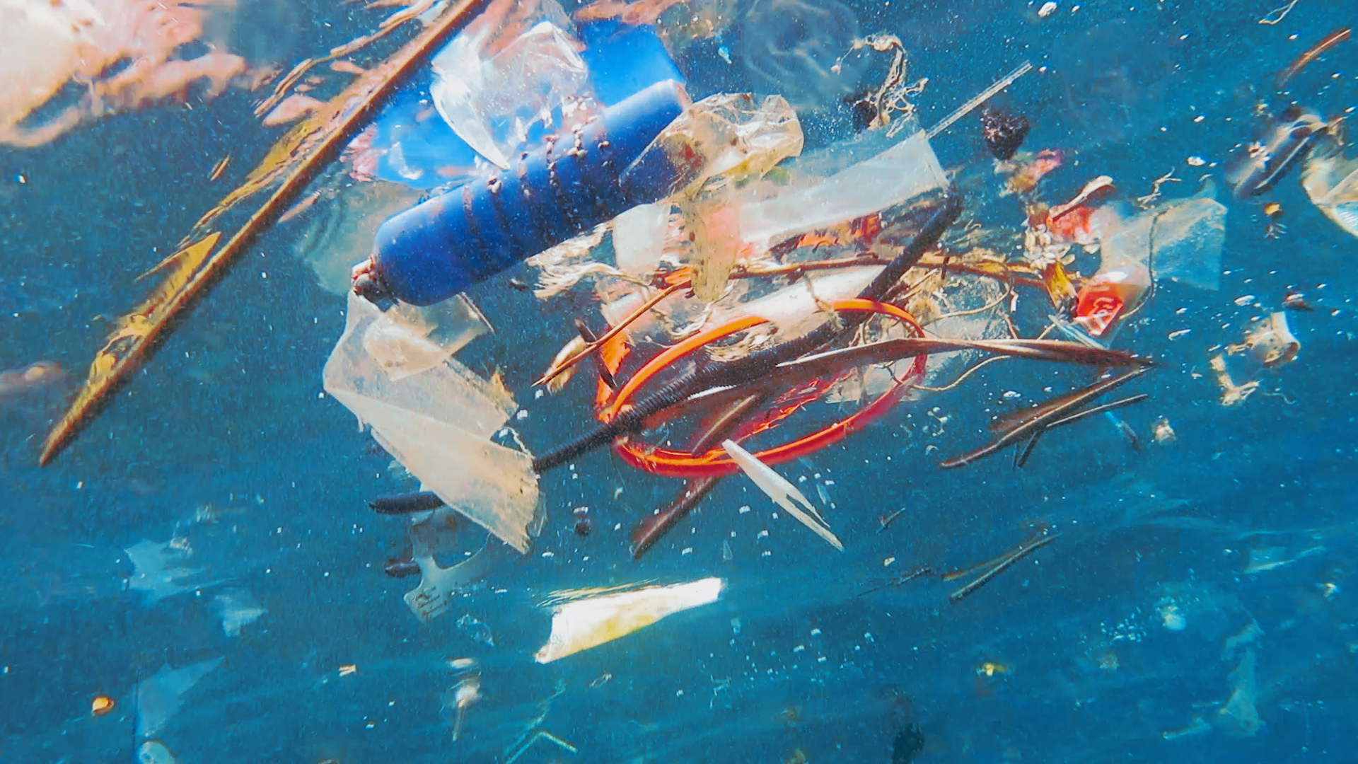Scientists discovered a marine fungus, Parengydontium album, that breaks down plastic, offering hope in the battle against plastic pollution.