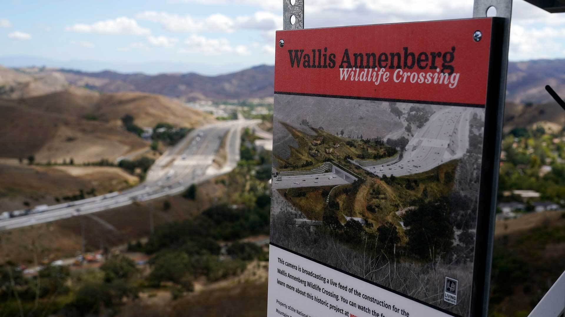 Southern California’s 10-lane Highway 101 in Los Angeles will soon host the world’s largest urban wildlife crossing.