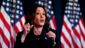 A House Republican has filed two articles of impeachment against Vice President Kamala Harris while others condemn her actions at the border.