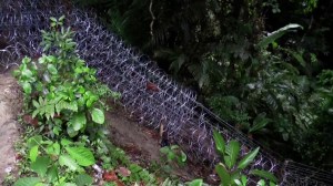 Panama has installed barbed wire along the Darién Gap to strengthen border security amid a surge of migrants heading to the U.S., following an agreement with the U.S. to manage migration through this perilous jungle corridor. Newly inaugurated President José Raúl Mulino is committed to closing this major pathway for migrants.