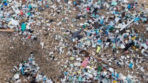 Researchers have discovered that microplastics are in just about every organ in the human body, but the brain may contain the most.