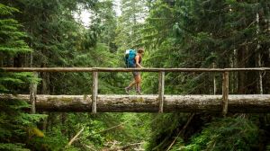 The National Park Foundation received a $100M donation from Lilly Endowment Inc., the largest single gift ever for U.S. national parks.