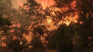 Wildfires near Athens, Greece have forced urgent evacuations, killed one person and burned 100,000 acres. Over 700 firefighters are deployed.