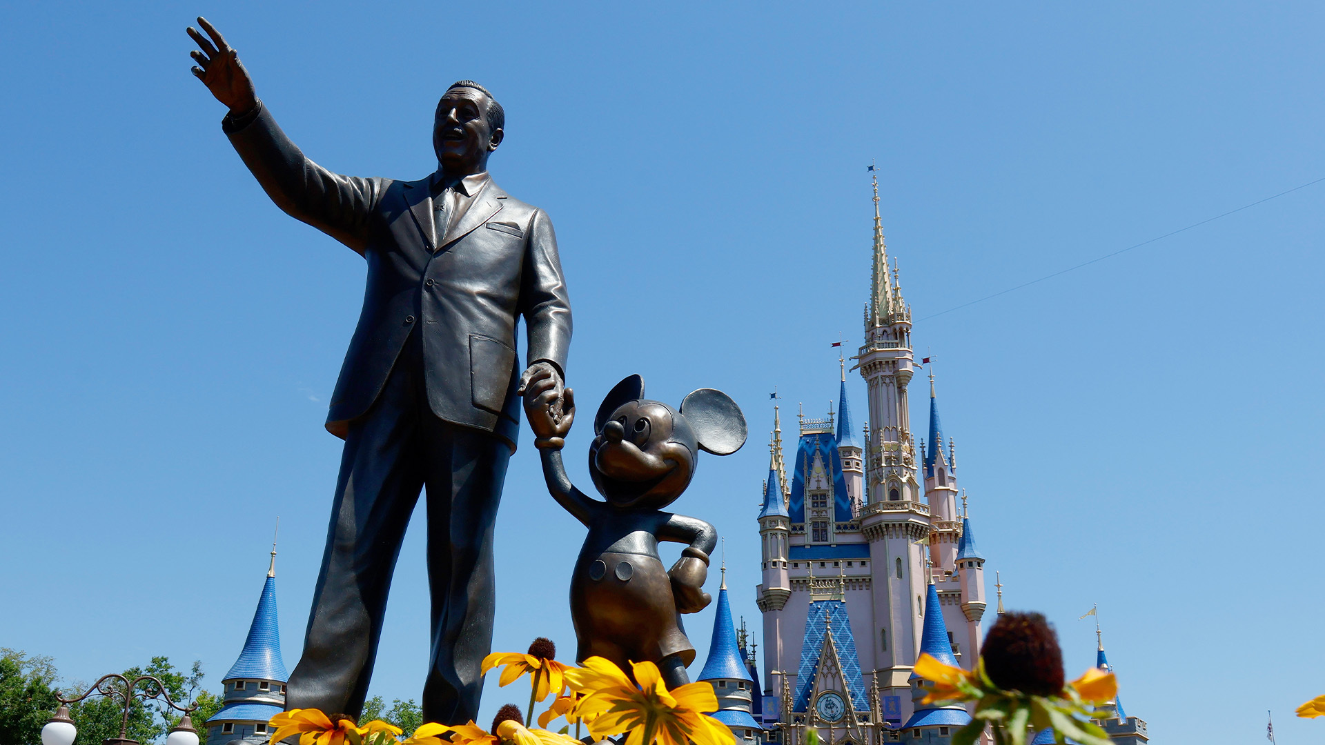 Disney Ditches Disney+ 'terms Of Use' Defense In Wrongful Death Lawsuit