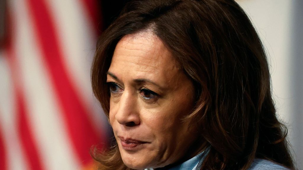 Vice President Kamala Harris previously opposed deporting illegal immigrants while serving as a California senator.