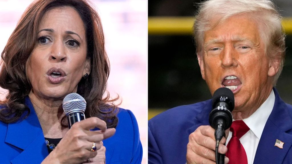 Vice President Kamala Harris and former President Donald Trump discussed their policies and strategies in interviews.