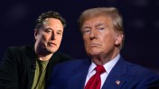 Donald Trump said Elon Musk brought him a task force idea that he plans to have the billionaire lead if Trump is elected.