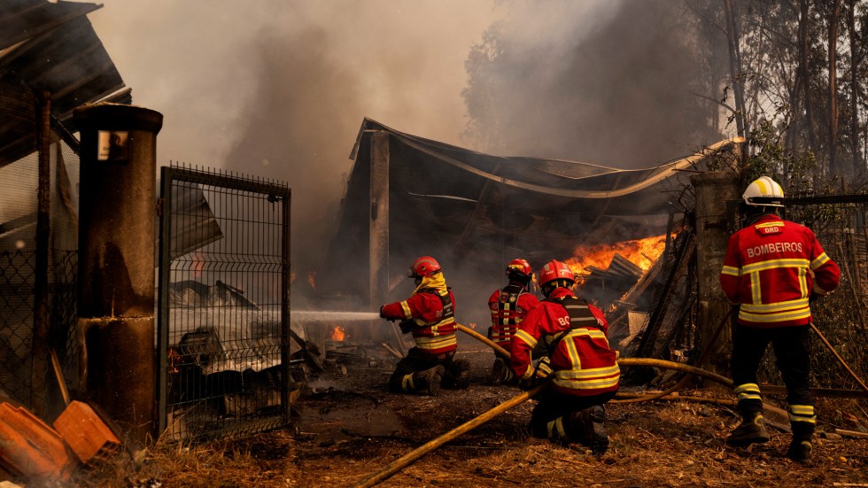 Portugal is battling one of its worst wildfire outbreaks in recent years, with over 100 fires being fought by firefighters and volunteers.