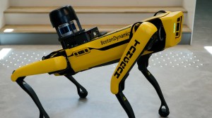 Autonomous robots dogs have been used to help maintain one of the world’s largest fusion energy research facilities.