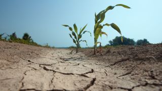 The global water crisis could very soon impact global food supply, too. It's threatening to cut worldwide food production by half.