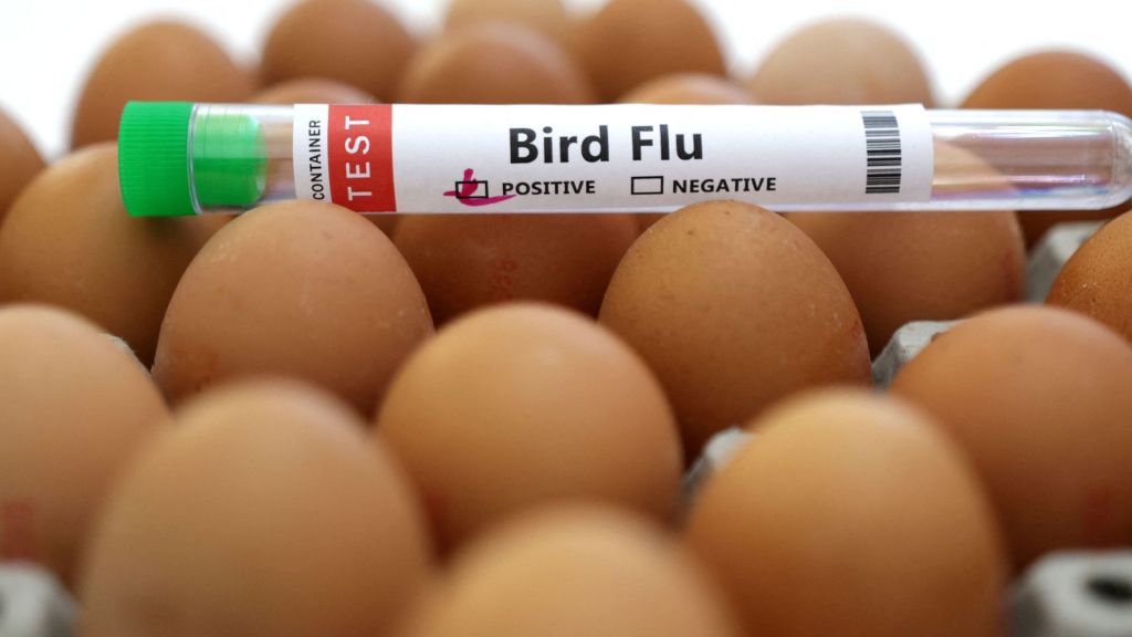 President Donald Trump's administration accidentally fired several USDA staff members who were working on the bird flu outbreak.