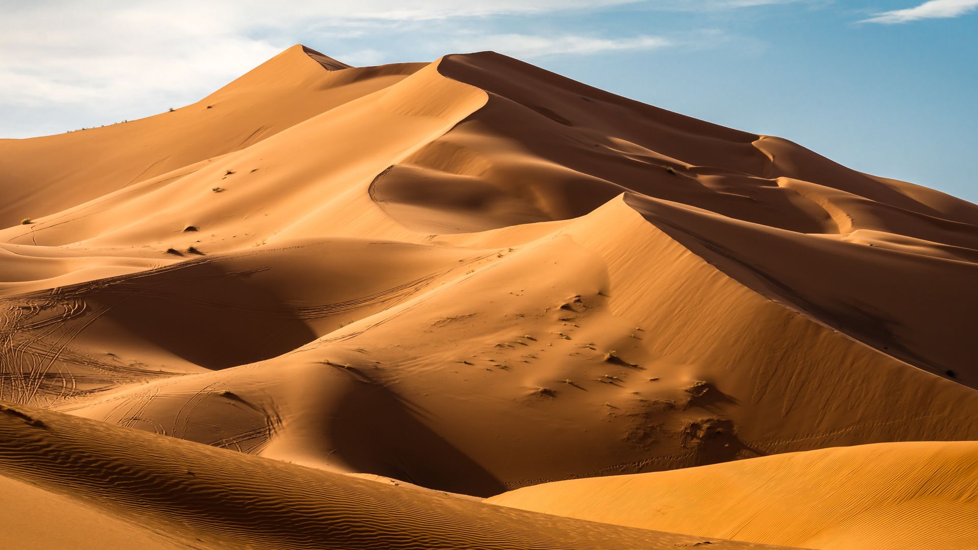 Water Gushes Through Sand Dunes After A Rare Rainfall In The Sahara ...