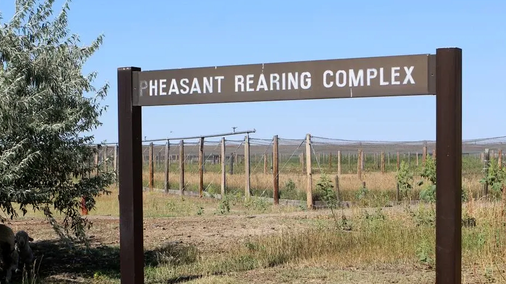 Solar-Powered Pheasant Hatchery Highlights Clean Energy’s Recycling Challenges