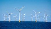 California’s offshore wind plans face resistance from environmental and fishing groups concerned about potential harm to local marine life.