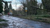 A so-called 'bomb cyclone' storm system caused widespread damage from California to Washington, and another one is expected to hit this week.